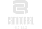 Camino Real Hotel